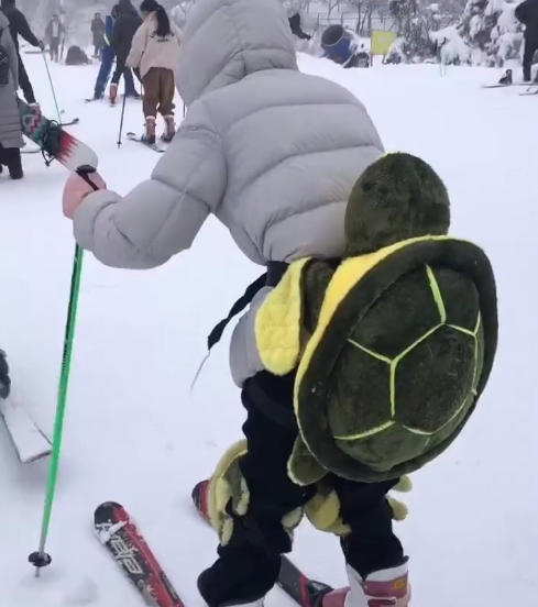 滑雪小乌龟(滑雪小乌龟是什么)